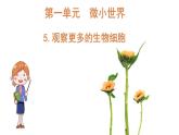 教科版科学六上1.5《观察更多的生物细胞》课件+教学设计+素材