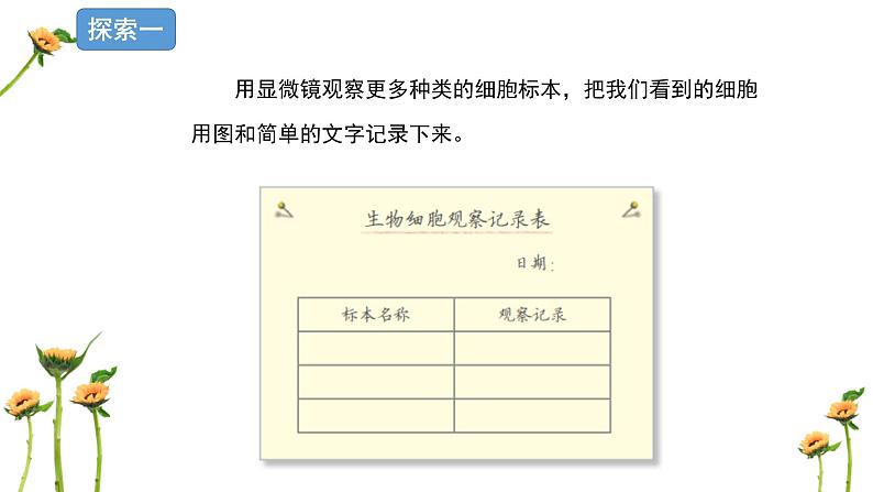 教科版科学六上1.5《观察更多的生物细胞》课件+教学设计+素材06