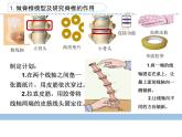 2023苏教版四年级科学实验解析课件