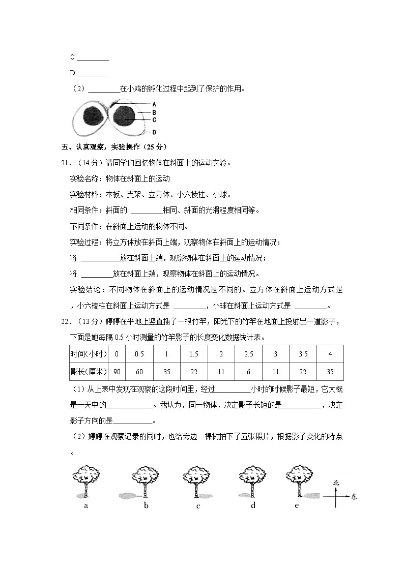 2022-2023学年河北省张家口市怀来县三年级下学期期末科学试卷（含解析）03
