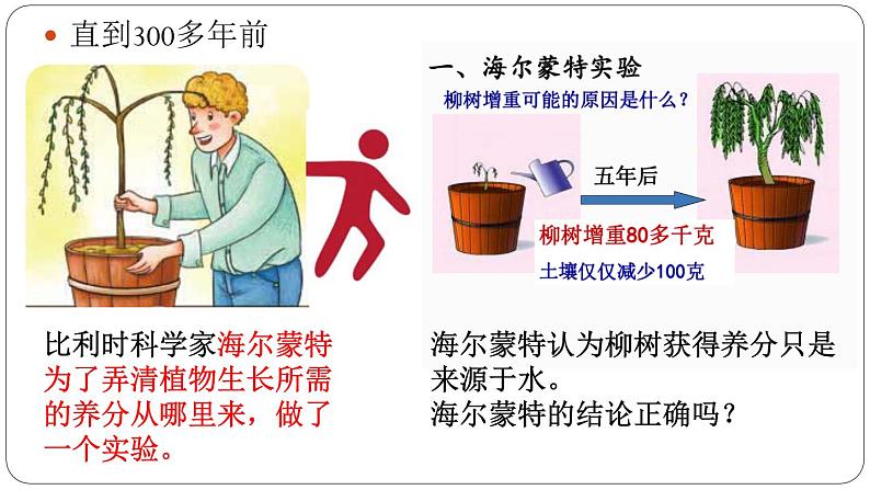 六上-12植物的养分课件PPT04