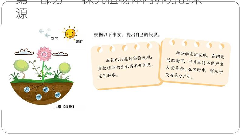 六上-12植物的养分课件PPT05