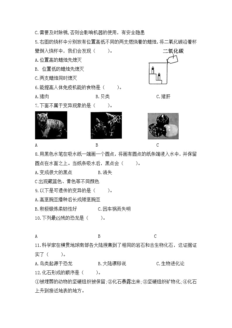 【期中模拟】苏教版(2017)科学六年级上册-期中测试卷1（含答案）第3页