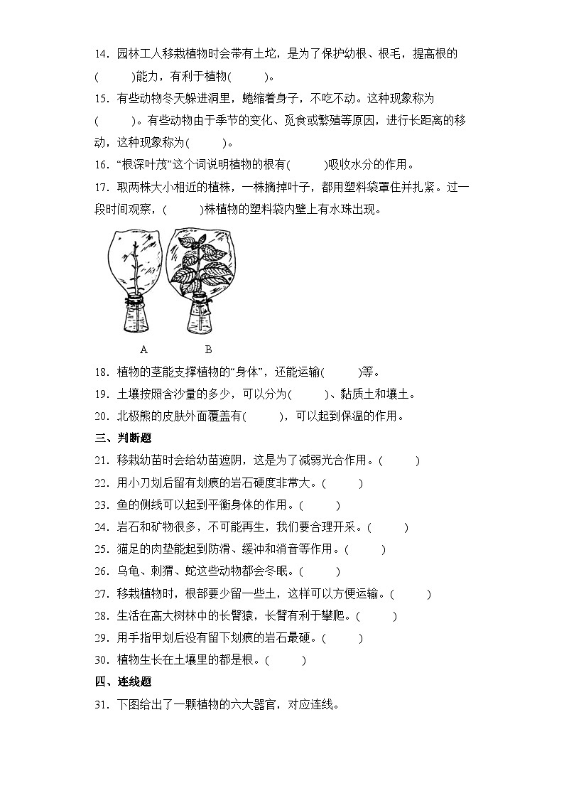 【期中模拟】青岛版（六三制2017）科学三年级上册-期中测试卷（一）（含答案）第2页