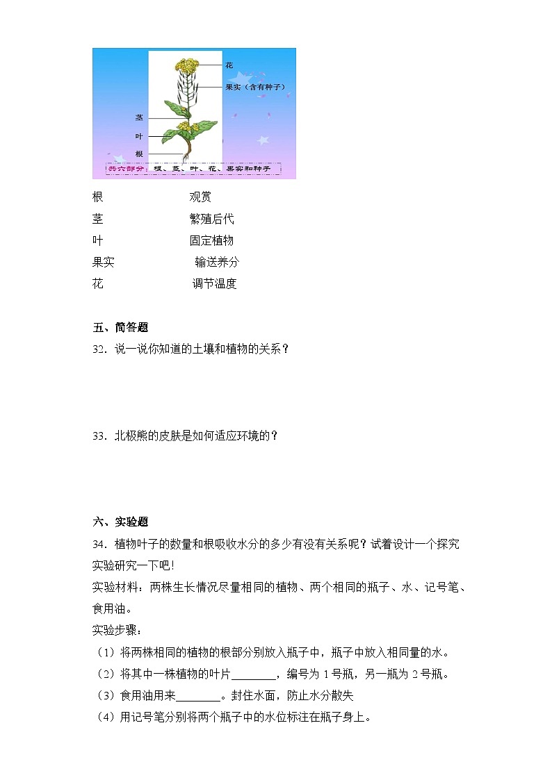 【期中模拟】青岛版（六三制2017）科学三年级上册-期中测试卷（一）（含答案）第3页