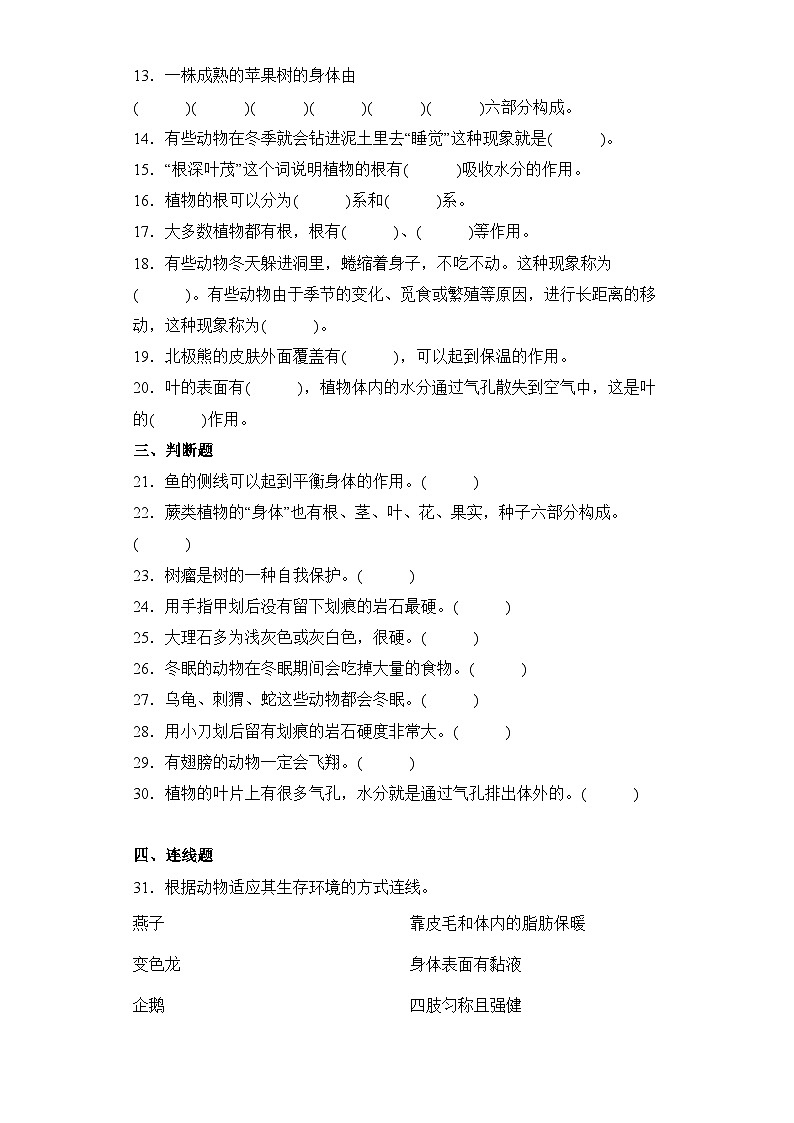 【期中模拟】青岛版（六三制2017）科学三年级上册-期中测试卷（三）（含答案）第2页
