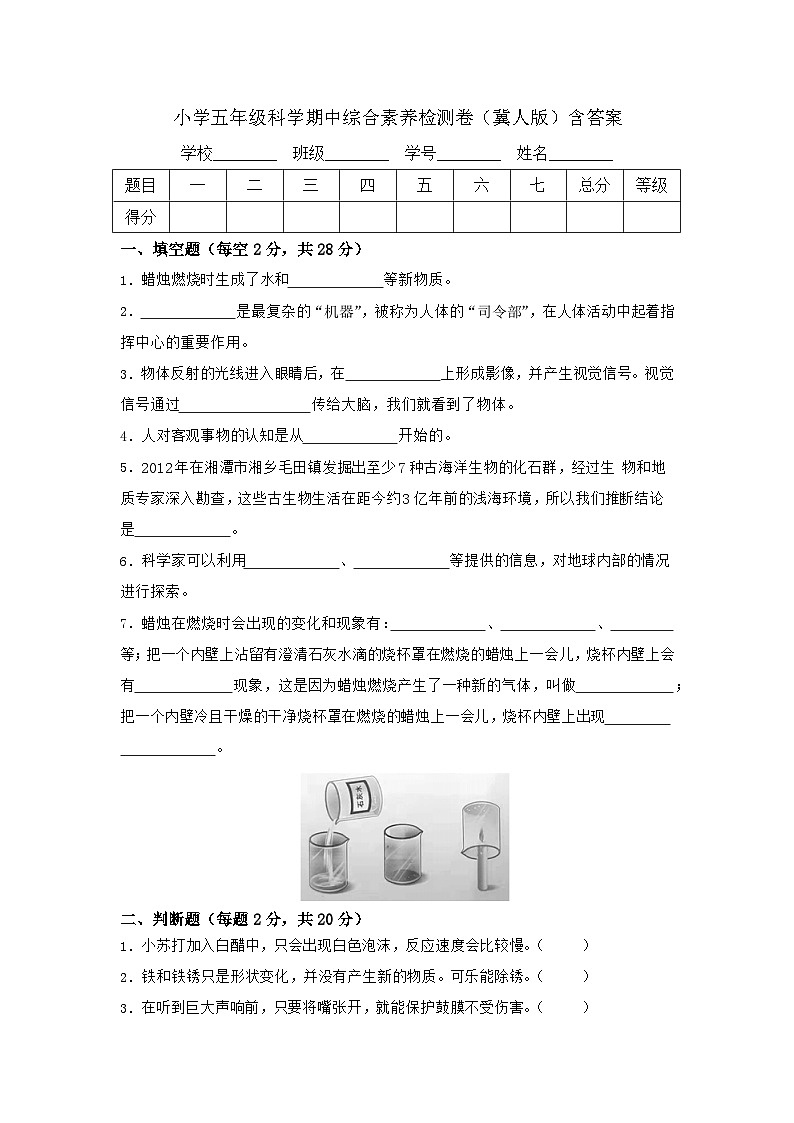 【期中模拟】冀人版(2017)科学五年级上册-期中检测卷C（含答案）01