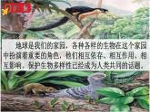 六年级下册科学教科版7保护性物多样性（课件）