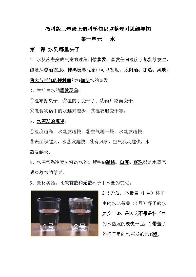 【期中知识复习】教科版(2017)科学三年级上册-第一单元《水》知识点讲义+思维导图01
