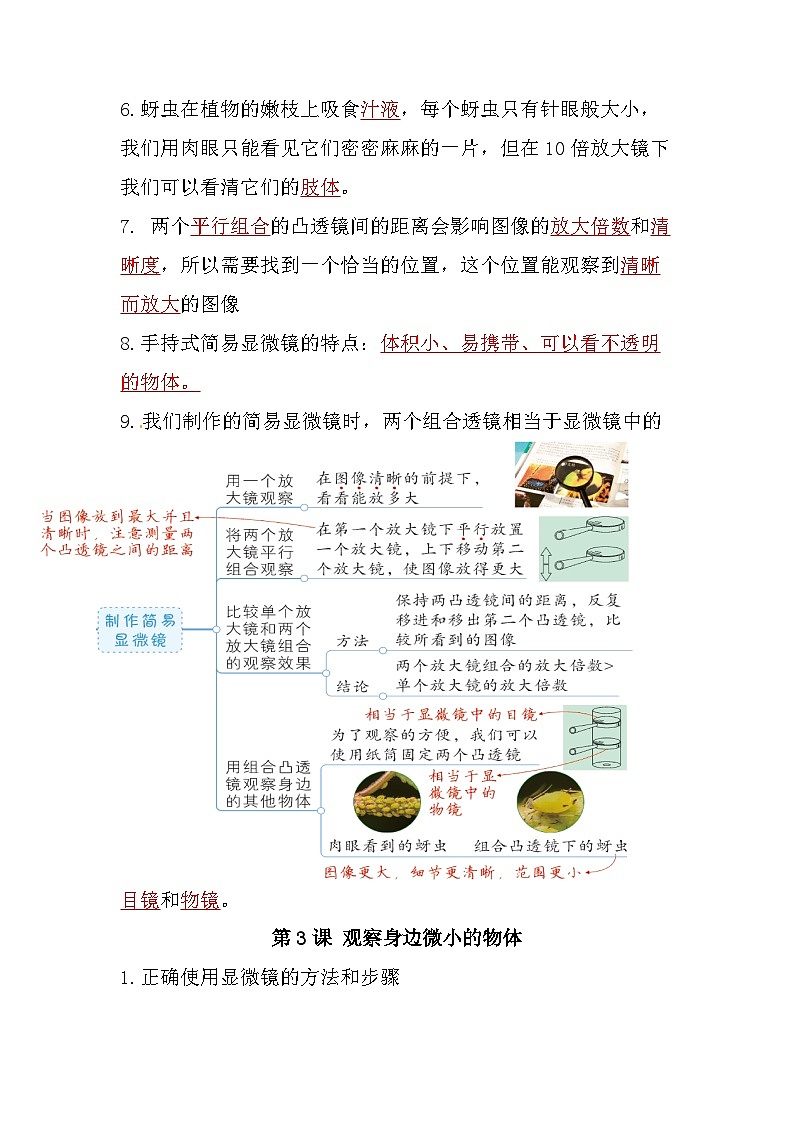 【期中知识复习】教科版(2017)科学六年级上册-第一单元《微小世界》知识点讲义03