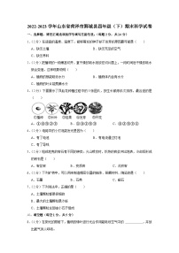 山东省菏泽市鄄城县2022-2023学年四年级下学期期末科学试卷