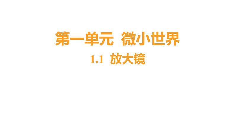 1.1 放大镜（习题课件）六年级上册科学教科版01