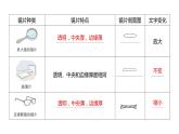 1.1 放大镜（习题课件）六年级上册科学教科版