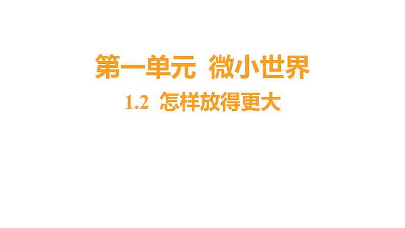 1.2 怎样放得更大（习题课件）六年级上册科学教科版01