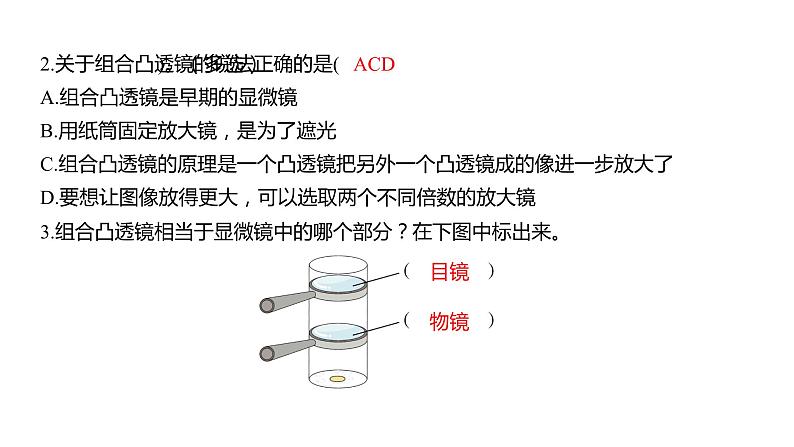 1.2 怎样放得更大（习题课件）六年级上册科学教科版03