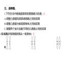 1.2 怎样放得更大（习题课件）六年级上册科学教科版