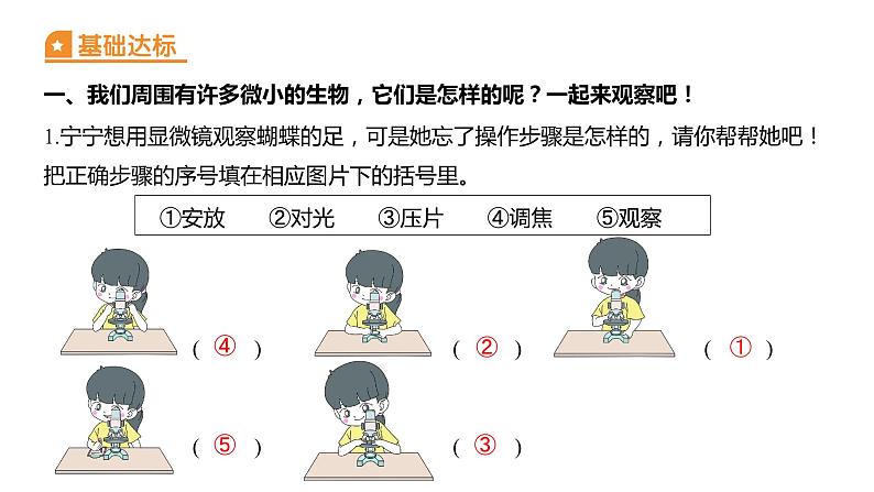 1.3 观察身边微小的物体（习题课件）六年级上册科学教科版第2页