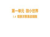 1.4 观察洋葱表皮细胞（习题课件）六年级上册科学教科版