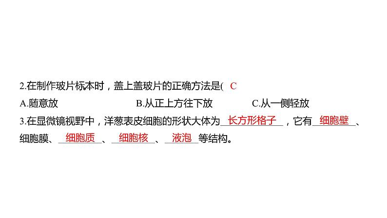 1.4 观察洋葱表皮细胞（习题课件）六年级上册科学教科版第4页