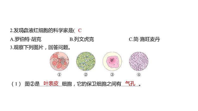 1.5 观察更多的生物细胞（习题课件）六年级上册科学教科版第4页