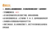 1.7 微生物与健康（习题课件）六年级上册科学教科版