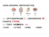 1.7 微生物与健康（习题课件）六年级上册科学教科版