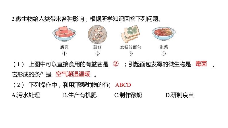 1.7 微生物与健康（习题课件）六年级上册科学教科版第3页