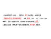 2.3 人类认识地球运动的历史（习题课件）六年级上册科学教科版