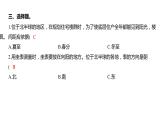 2.5 影长的四季变化（习题课件）六年级上册科学教科版