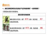 2.7 昼夜和四季变化对生物的影响（习题课件）六年级上册科学教科版