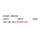 4.3 电和磁（习题课件）六年级上册科学教科版