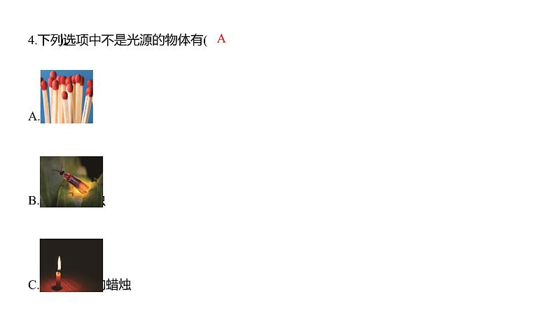 1.1 有关光的思考习题课件 五年级科学上册 教科版第3页