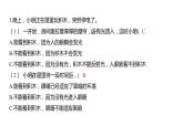 1.1 有关光的思考习题课件 五年级科学上册 教科版