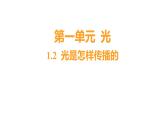 1.2 光是怎样传播的习题课件 五年级科学上册 教科版