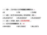 1.2 光是怎样传播的习题课件 五年级科学上册 教科版