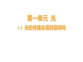 1.3 光的传播会遇到阻碍吗习题课件 五年级科学上册 教科版
