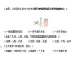 1.3 光的传播会遇到阻碍吗习题课件 五年级科学上册 教科版
