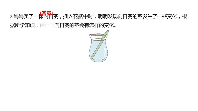 1.4 光的传播方向会发生改变吗习题课件 五年级科学上册 教科版第3页