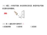 1.6 光的反射现象习题课件 五年级科学上册 教科版