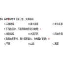 2.1 地球的表面习题课件 五年级科学上册 教科版