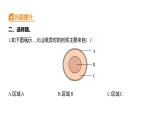 2.4 火山喷发的成因及作用习题课件 五年级科学上册 教科版