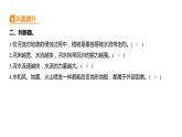 2.6 水的作用习题课件 五年级科学上册 教科版