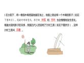 3.1 时间在流逝习题课件 五年级科学上册 教科版