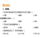 3.1 时间在流逝习题课件 五年级科学上册 教科版