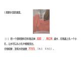 3.2 用水计量时间习题课件 五年级科学上册 教科版