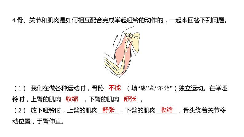 4.2 身体的运动习题课件 五年级科学上册 教科版03