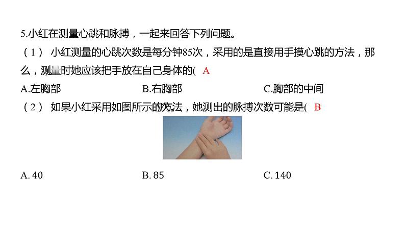 4.3 心脏和血液习题课件 五年级科学上册 教科版04