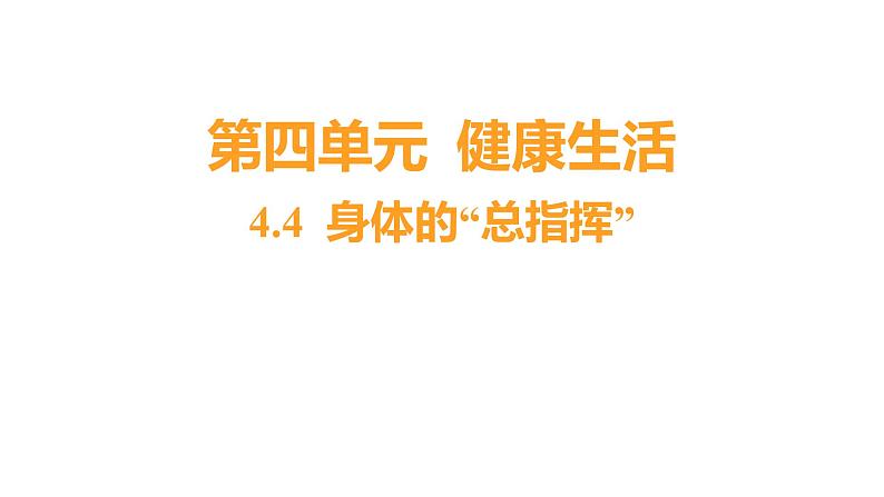 4.4 身体的“总指挥”习题课件 五年级科学上册 教科版01