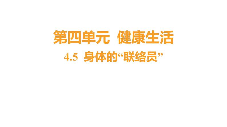 4.5 身体的“联络员”习题课件 五年级科学上册 教科版01