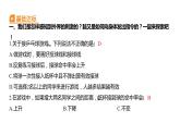 4.5 身体的“联络员”习题课件 五年级科学上册 教科版